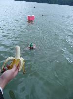 banánek pro Břenďáka banánek pro Břenďáka