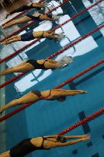 zanoření zanoření