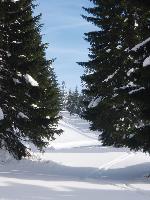 bruslení na Vrbatovku bruslení na Vrbatovku