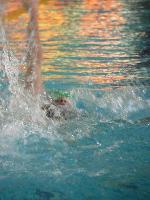 Simona Švandelíková Simona Švandelíková