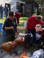 Píďa natěrač Píďa natěrač