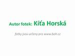 autor fotek autor fotek