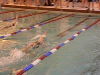 Eva Jarešová Eva Jarešová