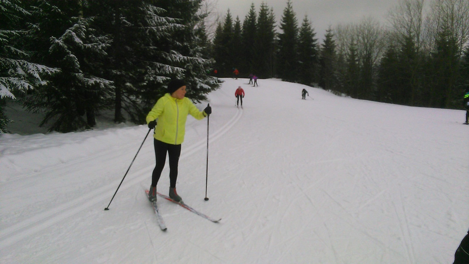 Nikola Kopecká Nikola Kopecká