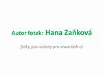 autor fotek autor fotek