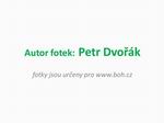 autor fotek autor fotek