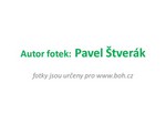 autor fotek autor fotek