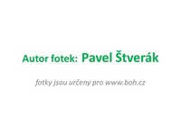 autor fotek autor fotek