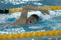 Dominik Tikovský Dominik Tikovský