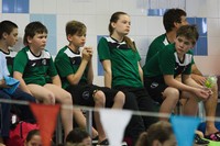 čekání na start čekání na start