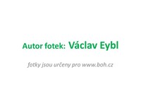 autor fotek autor fotek