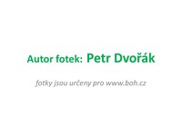 autor fotek autor fotek