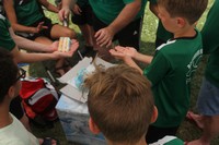 dělení vítězného dortu dělení vítězného dortu