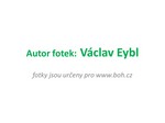 autor fotek autor fotek
