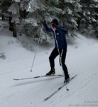 Táda Neliba Táda Neliba