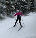 Alex Stránská Alex Stránská