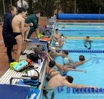 lační plavci lační plavci